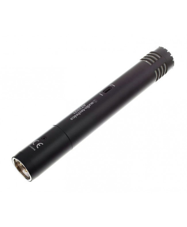 Audio Technica AT2031 Cardioid Instrument Microphone