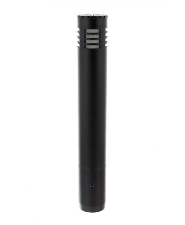 Audio Technica AT2031 Cardioid Instrument Microphone