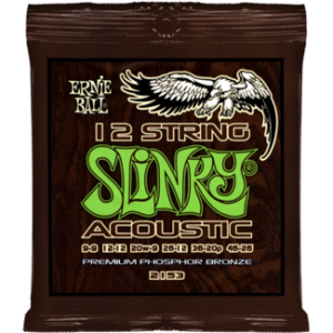 Ernie Ball 12-String Slinky Phosphor Bronze 009-46 (2153)