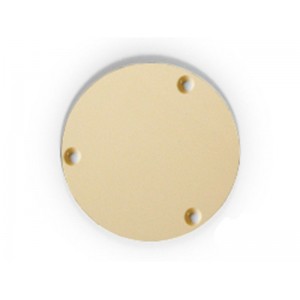 Les Paul Epiphone Switch Plate Cream