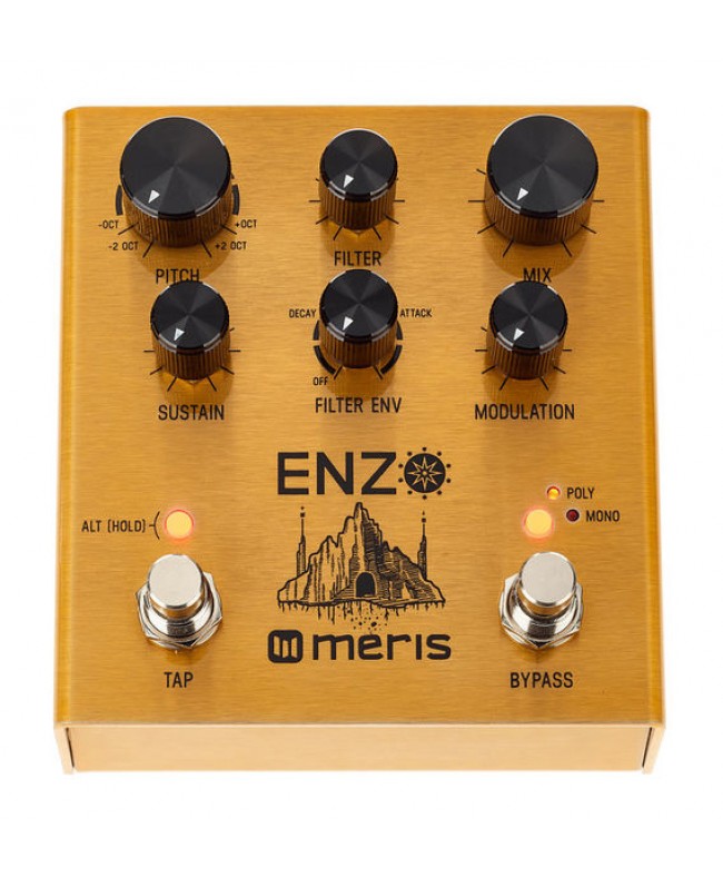 Meris Enzo - Multi Voice Synthesizer 