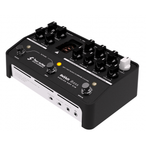 Two Notes Audio Engineering ReVolt Bass - Analog Amp Sim